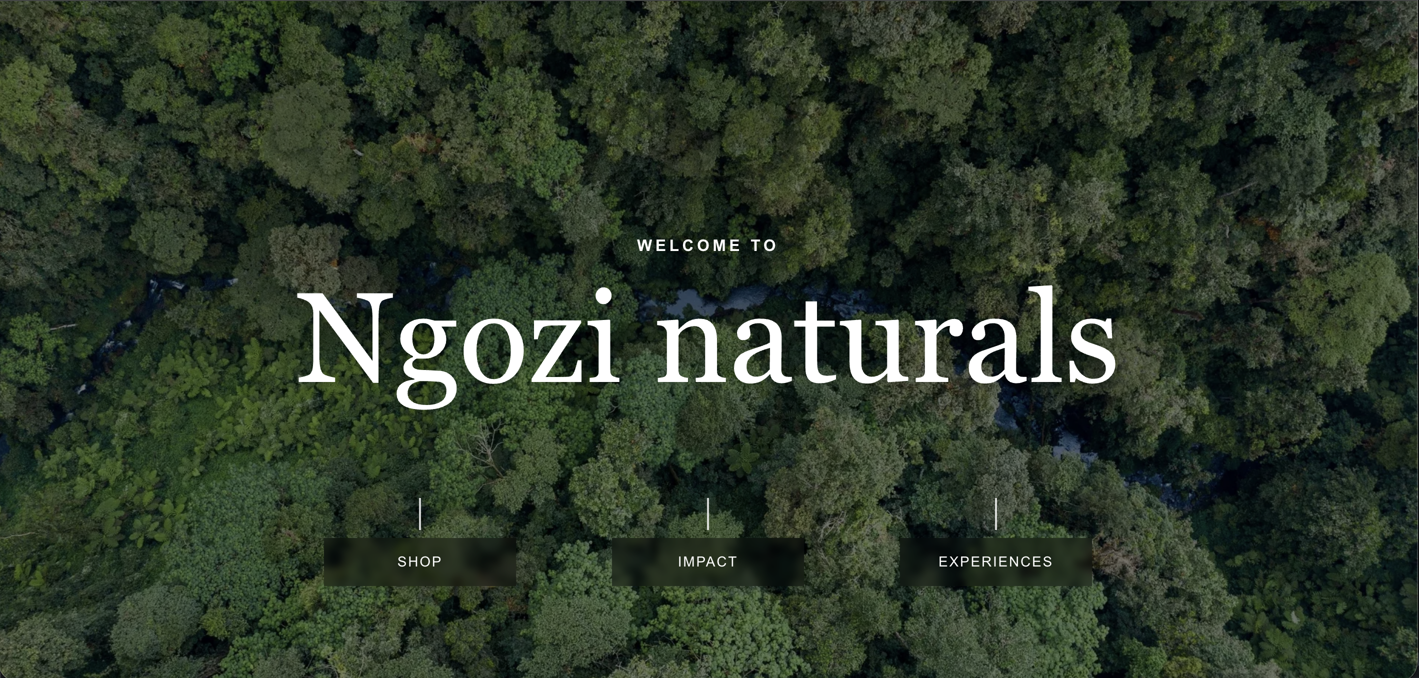Ngozi Naturals website